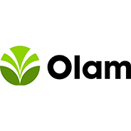 Olam